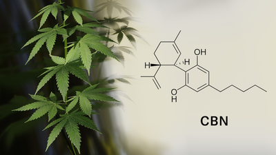 Cannabinol (CBN): The Under-the-Radar Cannabinoid