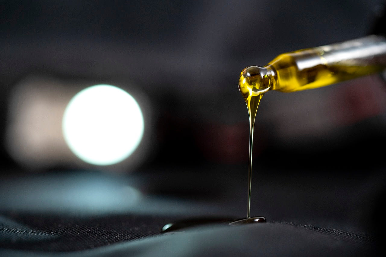 hemp oil vs cbd oil